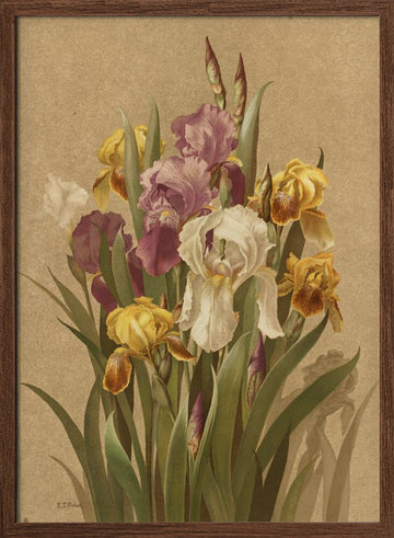 Fleur De Lis, No. 3 | Poster - Walnut Frame Interior