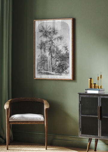 Vintage Palm Tree Drawing Iv | Poster - Room Interior 2