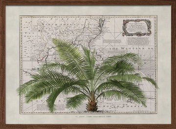Vintage Map Palm Tree | Poster - Walnut Frame Interior