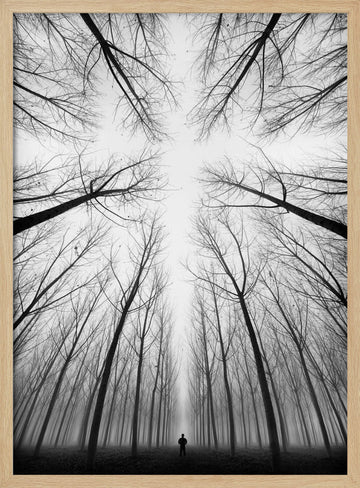 Lone Figure Foggy Forest | Poster - Wood Frame Interior