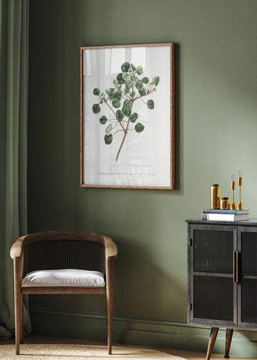 Euphorbia Petiolaris 1805   Flower Garden Displayed By Francis Sansom | Poster - Room Interior 2