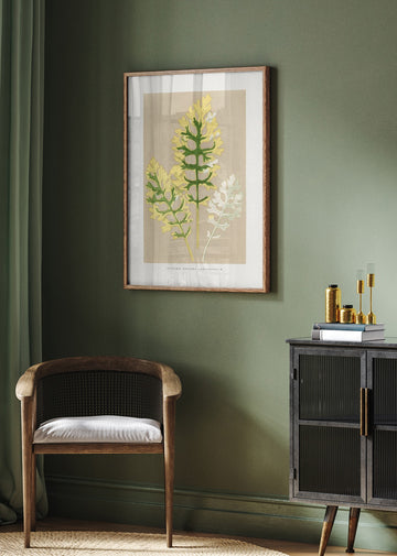 Cineraria Maritima Fairbairnianum Leaf Illustration | Poster - Room Interior 2