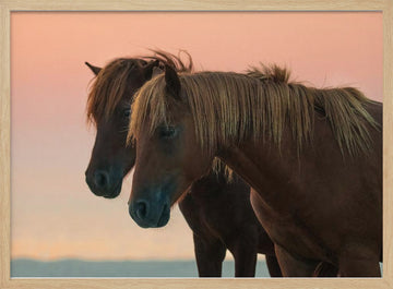 Peaceful Wild Horses | Poster - Wood Frame Interior