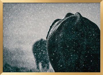 Elephants In The Rain | Poster - Gold Frame Interior