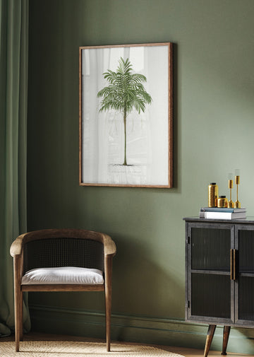 Ii Areca Monostachya | Poster - Room Interior 2