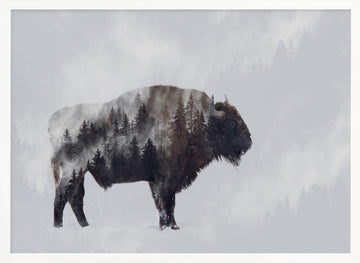Wild Bison Forest | Poster - White Frame Interior