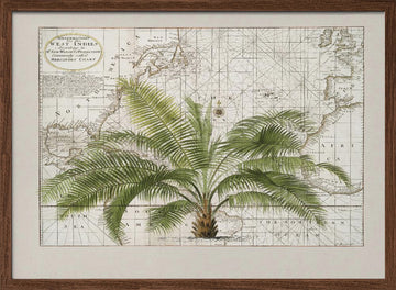 Vintage Caribbean Palm Map | Poster - Walnut Frame Interior