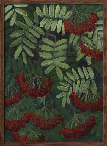 Vibrant Rowan Berries | Poster - Walnut Frame Interior