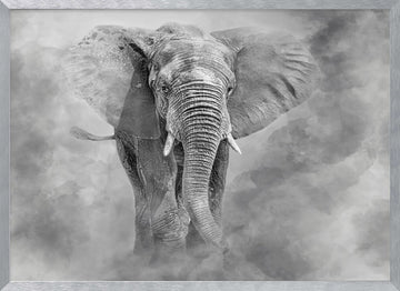 Majestic Elephant Dust | Poster - Silver Frame Interior