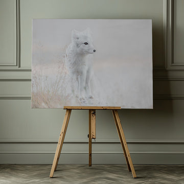 Serene Arctic Fox | Canvas - Room Interior 1