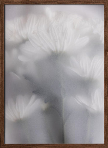Blurred Flowers 6 | Poster - Walnut Frame Interior
