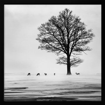 Winter Tree and Deer | Poster - Black Metal Frame Interior