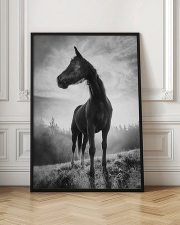 Mystic Stallion Rising | Poster - Room Interior 1