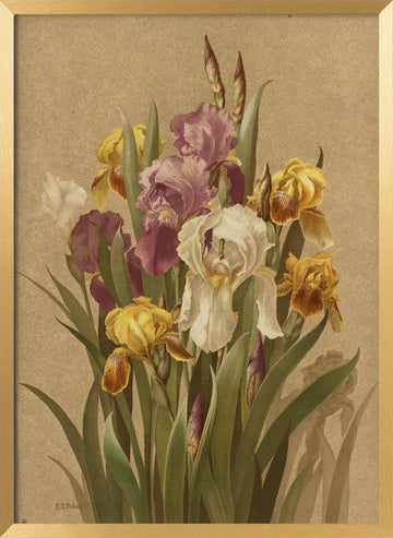 Fleur De Lis, No. 3 | Poster - Gold Frame Interior