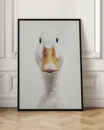 Funny Duck Face | Poster - Room Interior 1