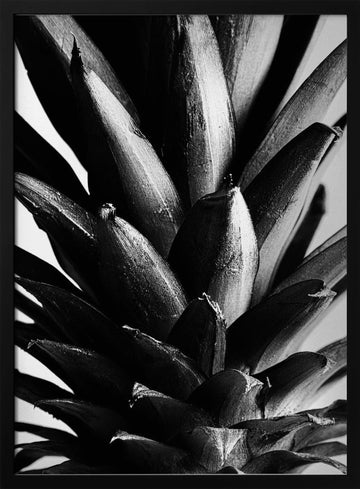 Bold Pineapple Texture | Poster - Black Metal Frame Interior