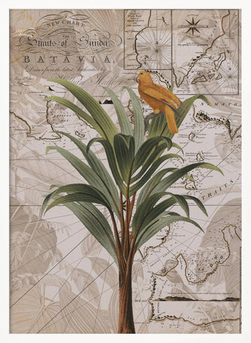 Tropical Map Bird | Poster - White Frame Interior