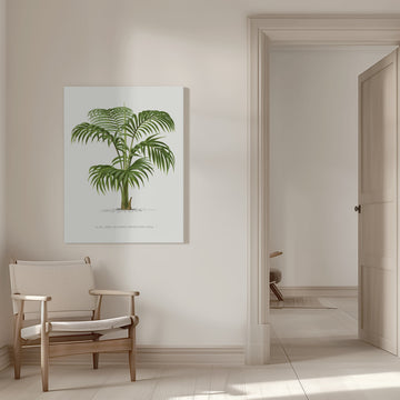 Kentia Vii | Canvas - Room Interior 1