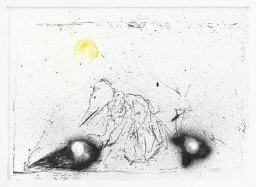 Mysterious Beaked Figure | Poster - White Frame Interior