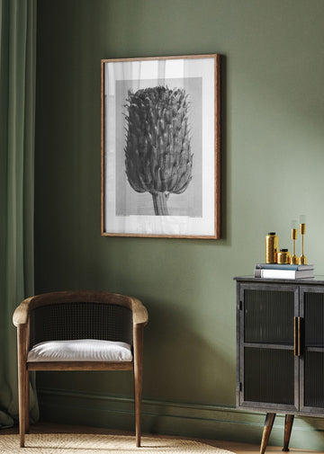 Cirsium Canum (Thistle) | Poster - Room Interior 2