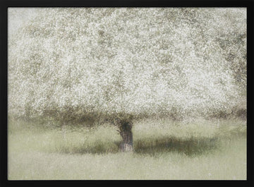 In the backyard | Poster - Black Metal Frame Interior