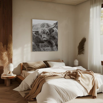 Majestic Highland Cow | Canvas - Room Interior 2