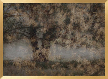 Pine tree | Poster - Gold Frame Interior