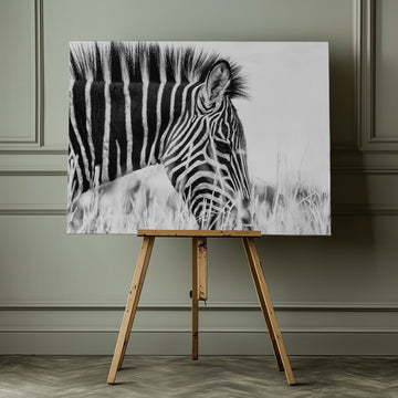 Monochrome Zebra Grace | Canvas - Room Interior 1