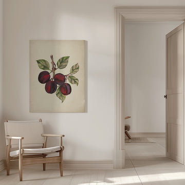 Ripe Plum Branch | Canvas - Room Interior 1