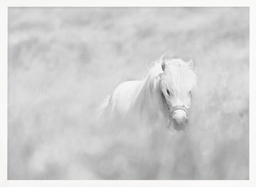 Dreamy White Pony | Poster - White Frame Interior