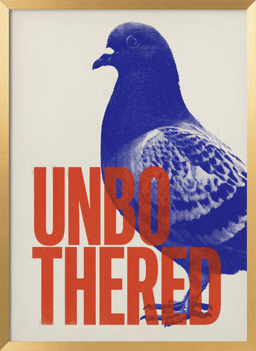 Unbothered Pigeon | Poster - Gold Frame Interior