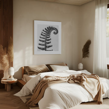 Polystichum Munitum | Canvas - Room Interior 2