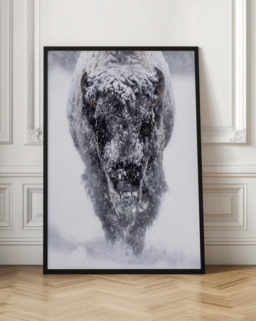 Majestic Bison Snowstorm | Poster - Room Interior 1