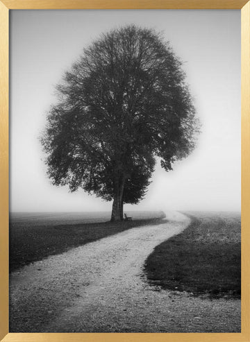 Foggy Path Lone Tree | Poster - Gold Frame Interior