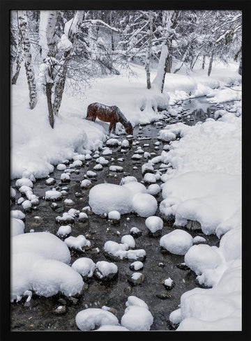 Snowy Forest Horse | Poster - Black Metal Frame Interior