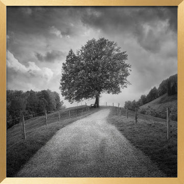 Winding Path Lone Tree | Poster - Gold Frame Interior