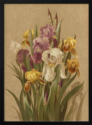 Fleur De Lis, No. 3 | Poster - Black Metal Frame Interior