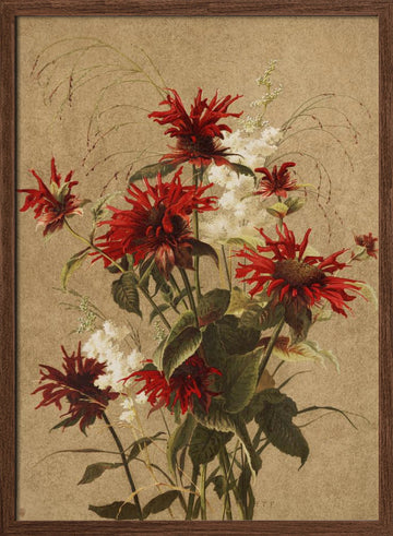 Balm and Spiraea By Ellen Thayer Fisher | Poster - Walnut Frame Interior