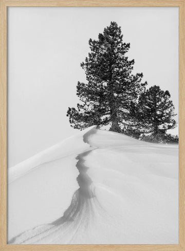 Winter Ridge Pines | Poster - Wood Frame Interior