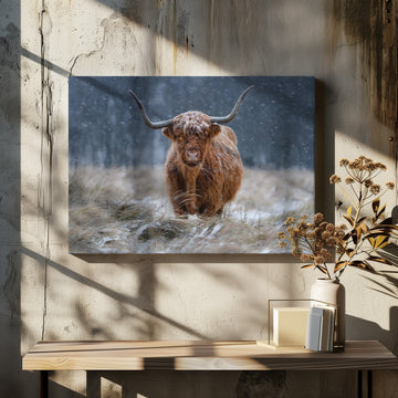 Snowy Highland Cow | Canvas - Room Interior 2
