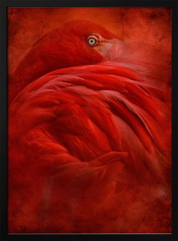 Vibrant Crimson Flamingo | Poster - Black Metal Frame Interior