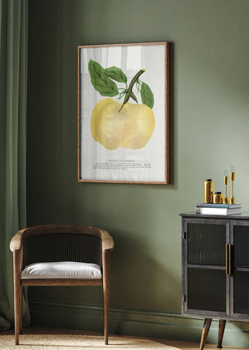 Yellow Transparent Apple Lithograph | Poster - Room Interior 2