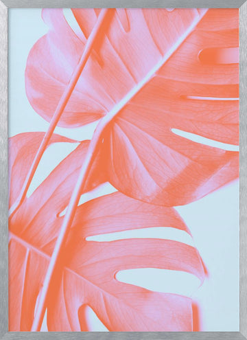 Coral Monstera Glow | Poster - Silver Frame Interior