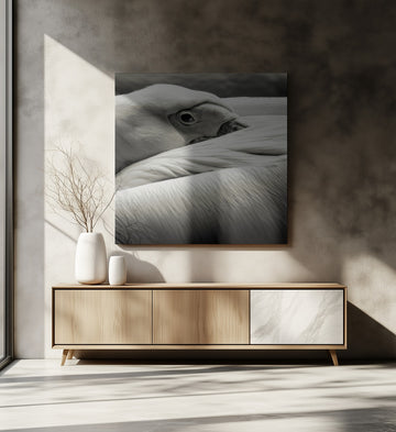 Calm Pelican Close-up | Canvas - Room Interior 2