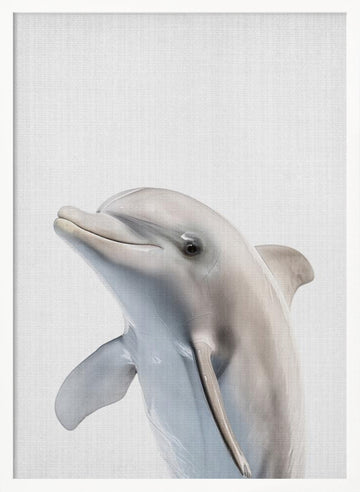 Friendly Dolphin Portrait | Poster - White Frame Interior
