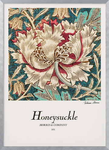 Honeysuckle | Poster - Silver Frame Interior