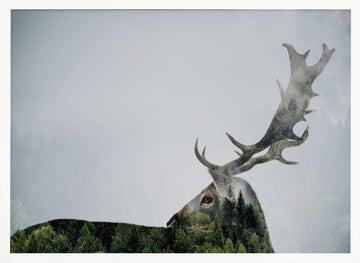 Forest Deer Spirit | Poster - White Frame Interior