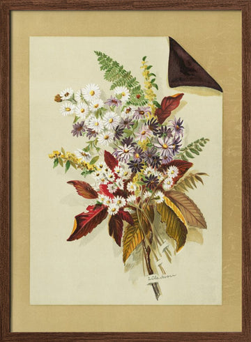 Daisies and Autumn Leaves & Ferns | Poster - Walnut Frame Interior