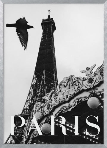 Paris Dove | Poster - Silver Frame Interior
