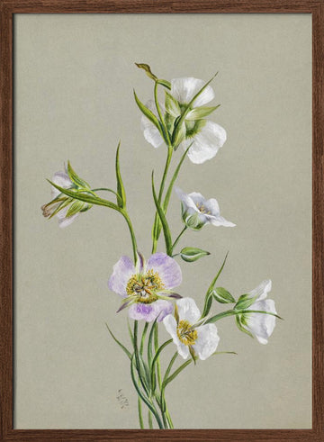 On the Road To Monument (1881) | Poster - Walnut Frame Interior